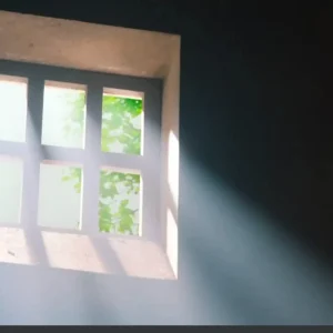 Offside Films BD photo of sun rays