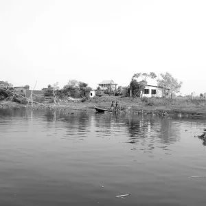 Offside Films BD Nature Photo